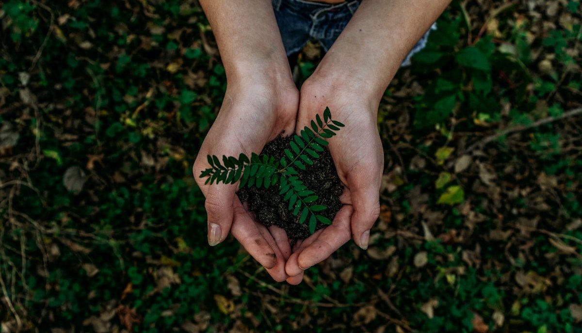 Sustainability has become a commercial qualification, not a compliance afterthought